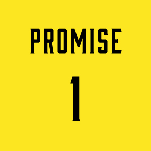 PROMISE 1