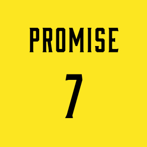PROMISE 7